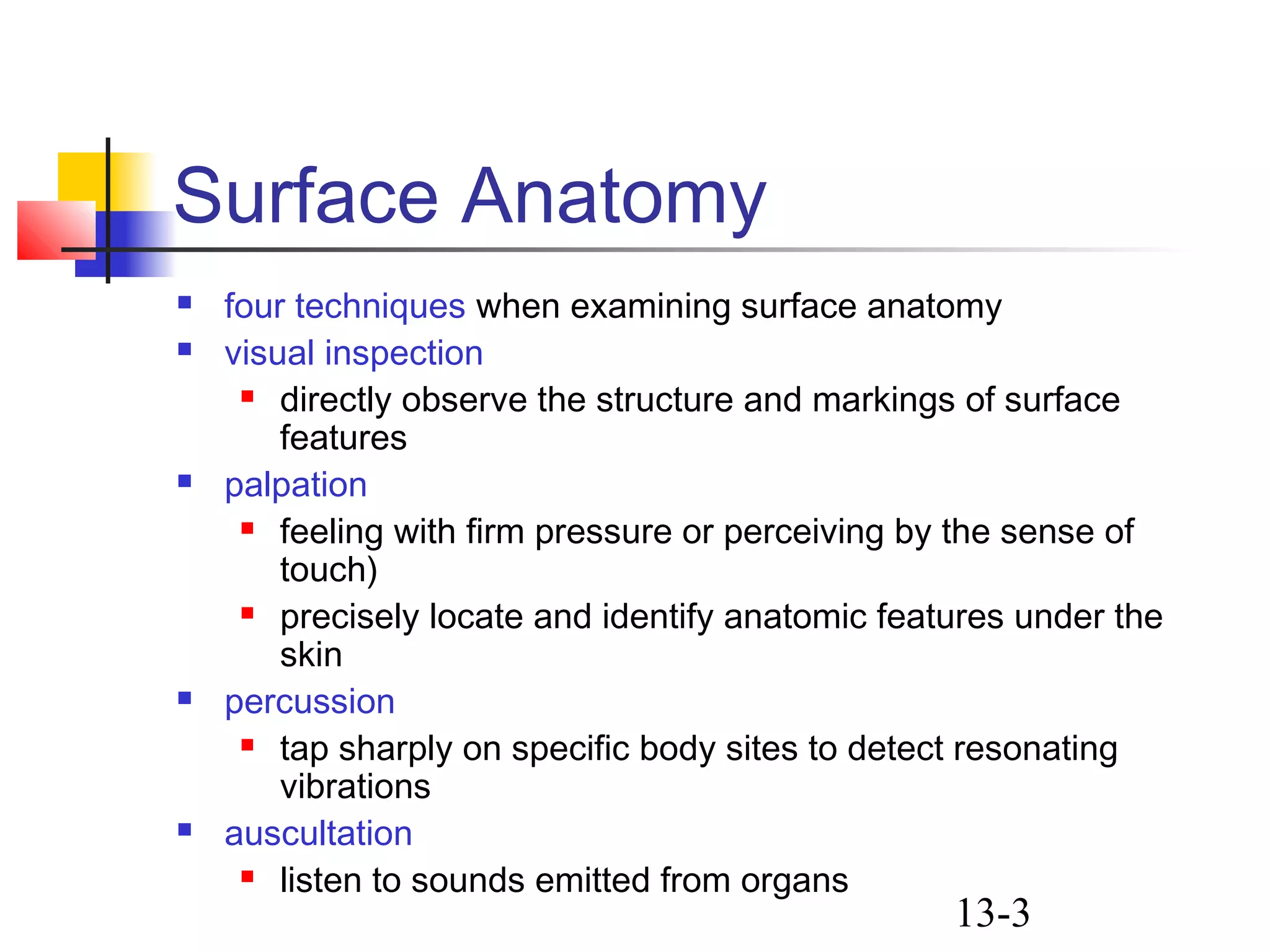 Surface Anatomy | PPT