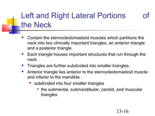 13-16
Left and Right Lateral Portions of
the Neck
 Contain the sternocleidomastoid muscles which partitions the
neck into two clinically important triangles, an anterior triangle
and a posterior triangle.
 Each triangle houses important structures that run through the
neck.
 Triangles are further subdivided into smaller triangles.
 Anterior triangle lies anterior to the sternocleidomastoid muscle
and inferior to the mandible.
 subdivided into four smaller triangles

the submental, submandibular, carotid, and muscular
triangles
 