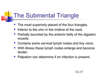 13-17
The Submental Triangle
 The most superiorly placed of the four triangles.
 Inferior to the chin in the midline of the neck.
 Partially bounded by the anterior belly of the digastric
muscle.
 Contains some cervical lymph nodes and tiny veins.
 With illness these lymph nodes enlarge and become
tender.
 Palpation can determine if an infection is present.
 