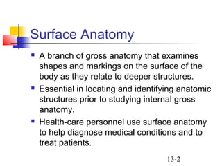 13-2
Surface Anatomy
 A branch of gross anatomy that examines
shapes and markings on the surface of the
body as they relate to deeper structures.
 Essential in locating and identifying anatomic
structures prior to studying internal gross
anatomy.
 Health-care personnel use surface anatomy
to help diagnose medical conditions and to
treat patients.
 