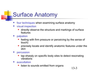 13-3
Surface Anatomy
 four techniques when examining surface anatomy
 visual inspection
 directly observe the structure and markings of surface
features
 palpation
 feeling with firm pressure or perceiving by the sense of
touch)
 precisely locate and identify anatomic features under the
skin
 percussion
 tap sharply on specific body sites to detect resonating
vibrations
 auscultation
 listen to sounds emitted from organs
 
