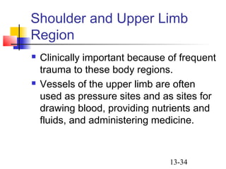 13-34
Shoulder and Upper Limb
Region
 Clinically important because of frequent
trauma to these body regions.
 Vessels of the upper limb are often
used as pressure sites and as sites for
drawing blood, providing nutrients and
fluids, and administering medicine.
 