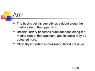 13-38
Arm
 The basilic vein is sometimes evident along the
medial side of the upper limb.
 Brachial artery becomes subcutaneous along the
medial side of the brachium, and its pulse may be
detected here.

Clinically important in measuring blood pressure.
 
