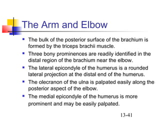 13-41
The Arm and Elbow
 The bulk of the posterior surface of the brachium is
formed by the triceps brachii muscle.
 Three bony prominences are readily identified in the
distal region of the brachium near the elbow.
 The lateral epicondyle of the humerus is a rounded
lateral projection at the distal end of the humerus.
 The olecranon of the ulna is palpated easily along the
posterior aspect of the elbow.
 The medial epicondyle of the humerus is more
prominent and may be easily palpated.
 
