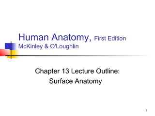 1
Human Anatomy, First Edition
McKinley & O'Loughlin
Chapter 13 Lecture Outline:
Surface Anatomy
 