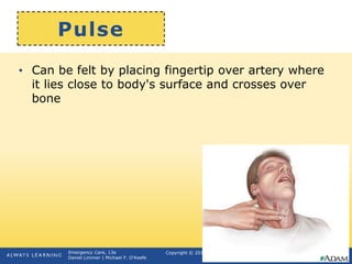 Copyright © 2016, 2012, 2009 by Pearson Education, Inc.
All Rights Reserved
Emergency Care, 13e
Daniel Limmer | Michael F. O'Keefe
Pulse
• Can be felt by placing fingertip over artery where
it lies close to body's surface and crosses over
bone
 
