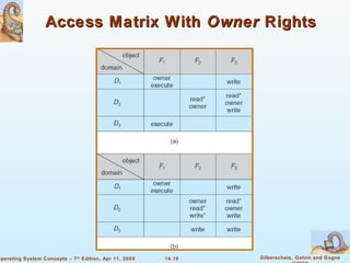 Access Matrix With  Owner  Rights 