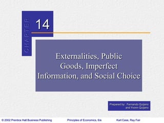 Externalities, Public Goods, Imperfect Information, and Social Choice 