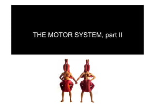 THE MOTOR SYSTEM, part II
 