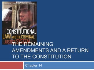 THE REMAINING
AMENDMENTS AND A RETURN
TO THE CONSTITUTION
Chapter 14

 