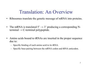 Translation Base Images Ch14-2translation.pdf