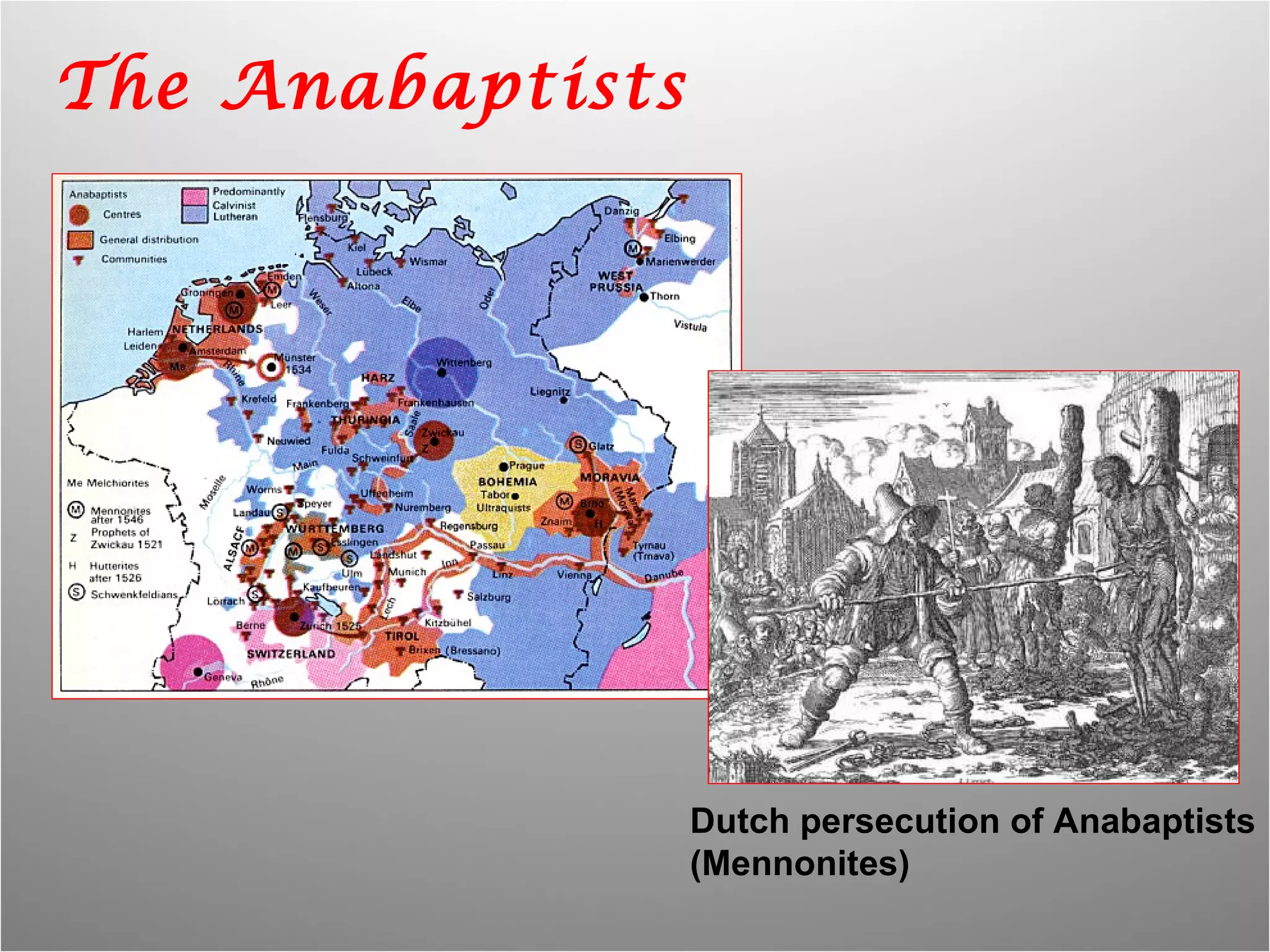 The Anabaptists Dutch persecution of Anabaptists (Mennonites) 