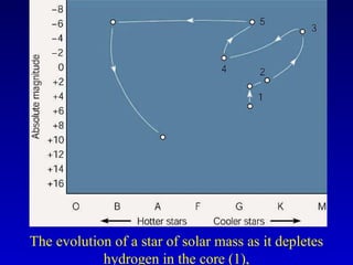 The evolution of a star of solar mass as it depletes
hydrogen in the core (1),
 