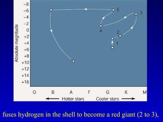 fuses hydrogen in the shell to become a red giant (2 to 3),
 