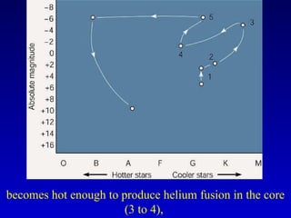 becomes hot enough to produce helium fusion in the core
(3 to 4),
 