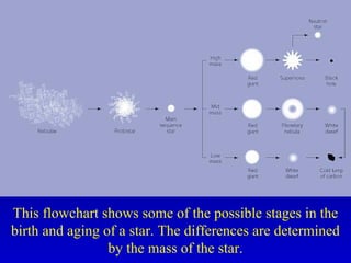 This flowchart shows some of the possible stages in the
birth and aging of a star. The differences are determined
by the mass of the star.
 
