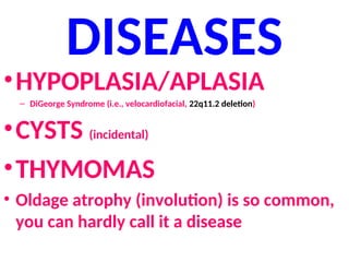 DISEASES
•HYPOPLASIA/APLASIA
– DiGeorge Syndrome (i.e., velocardiofacial, 22q11.2 deletion)
•CYSTS (incidental)
•THYMOMAS
• Oldage atrophy (involution) is so common,
you can hardly call it a disease
 
