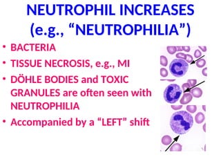 NEUTROPHIL INCREASES
(e.g., “NEUTROPHILIA”)
• BACTERIA
• TISSUE NECROSIS, e.g., MI
• DÖHLE BODIES and TOXIC
GRANULES are often seen with
NEUTROPHILIA
• Accompanied by a “LEFT” shift
 