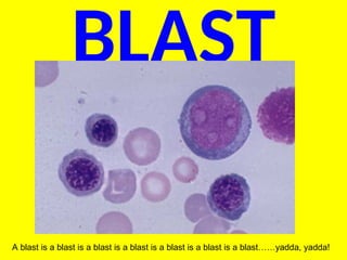 BLAST
A blast is a blast is a blast is a blast is a blast is a blast is a blast……yadda, yadda!
 