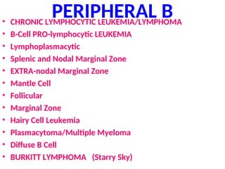 PERIPHERAL B
• CHRONIC LYMPHOCYTIC LEUKEMIA/LYMPHOMA
• B-Cell PRO-lymphocytic LEUKEMIA
• Lymphoplasmacytic
• Splenic and Nodal Marginal Zone
• EXTRA-nodal Marginal Zone
• Mantle Cell
• Follicular
• Marginal Zone
• Hairy Cell Leukemia
• Plasmacytoma/Multiple Myeloma
• Diffuse B Cell
• BURKITT LYMPHOMA (Starry Sky)
 