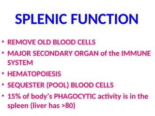 SPLENIC FUNCTION
• REMOVE OLD BLOOD CELLS
• MAJOR SECONDARY ORGAN of the IMMUNE
SYSTEM
• HEMATOPOIESIS
• SEQUESTER (POOL) BLOOD CELLS
• 15% of body’s PHAGOCYTIC activity is in the
spleen (liver has >80)
 