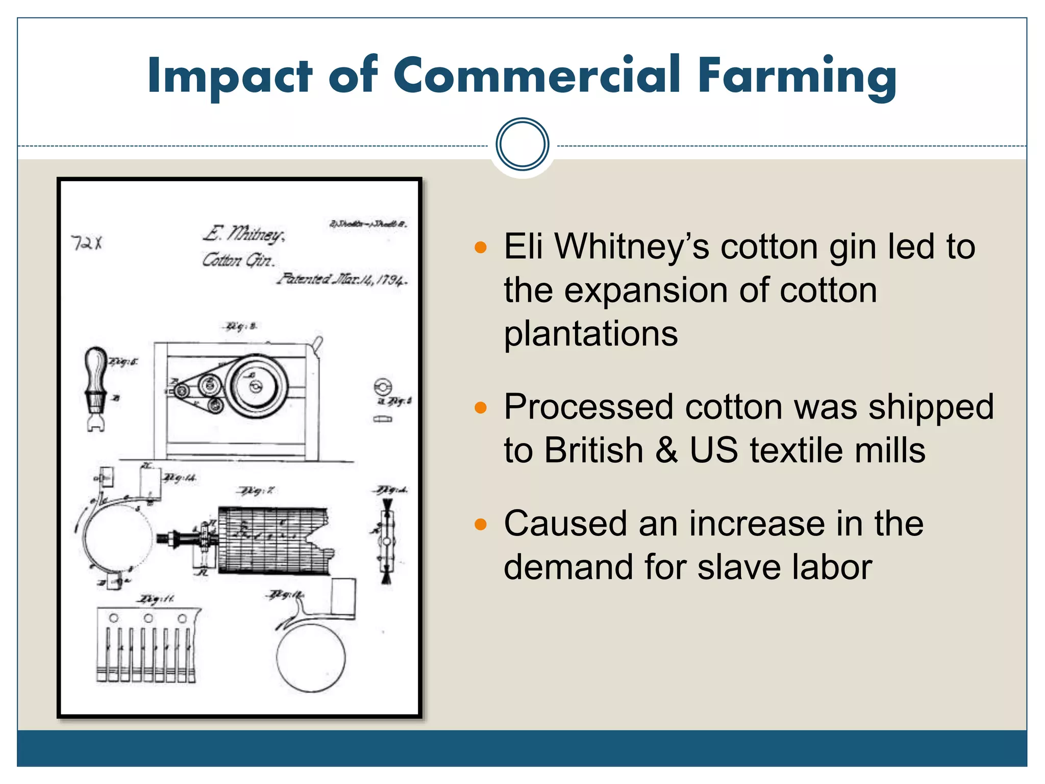 Impact of Commercial Farming
 Eli Whitney’s cotton gin led to
the expansion of cotton
plantations
 Processed cotton was shipped
to British & US textile mills
 Caused an increase in the
demand for slave labor
 