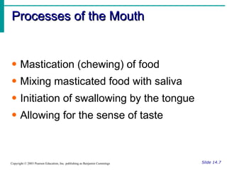Mastication Process Ch14 Digestive System Overview | PPT