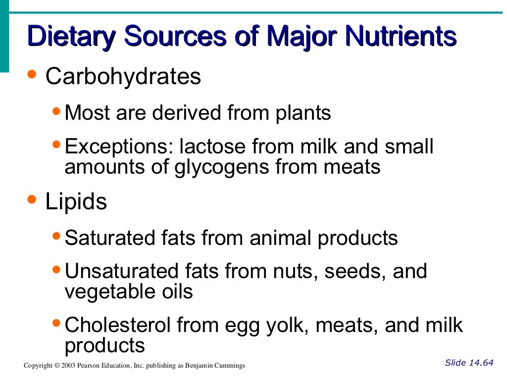 Ch14 Digestive System Overview