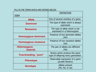 Ppt Dominant Vs Recessive Alleles Powerpoint 720x540