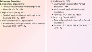 Vc Rvn Comprehensive Overview of Human Breathing and Gas Exchange Mechanisms | PDF
