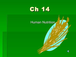 Ch 14 Human Nutrition 