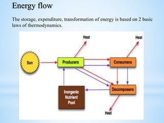 Energy flow
The storage, expenditure, transformation of energy is based on 2 basic
laws of thermodynamics.
 