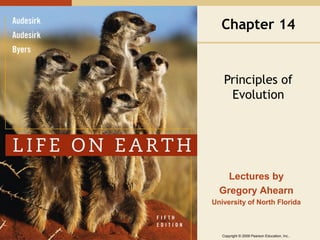 Copyright © 2009 Pearson Education, Inc..
Lectures by
Gregory Ahearn
University of North Florida
Chapter 14
Principles of
Evolution
 