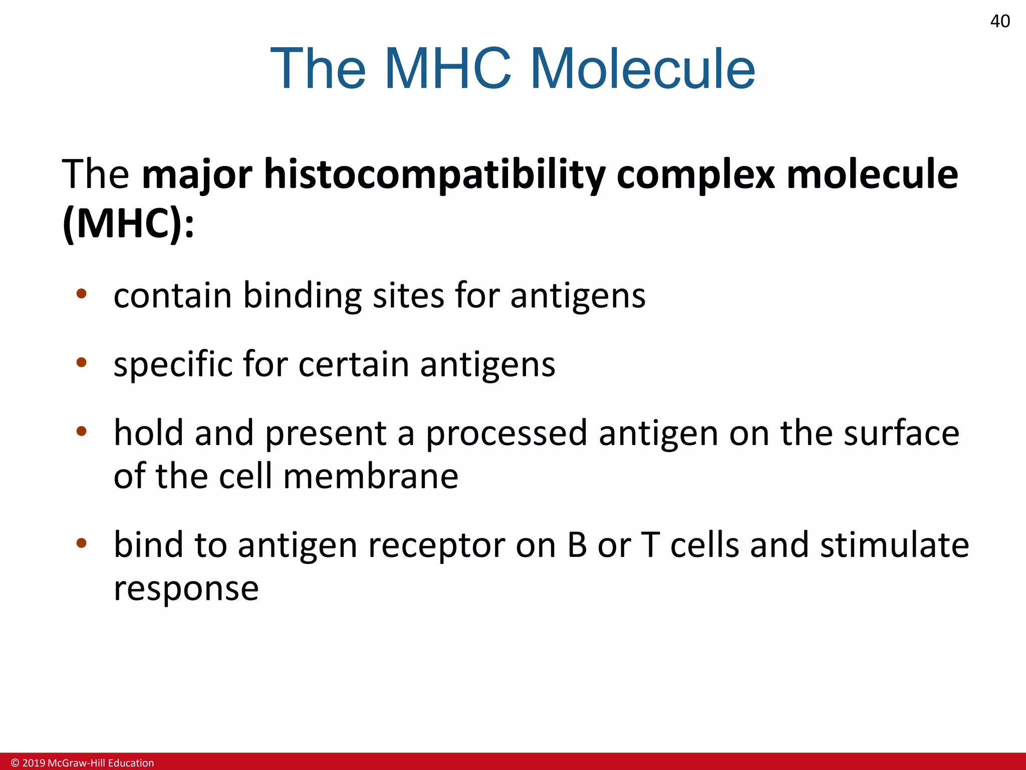 Ch14 lecture ppt_a | PPTX | Ear, Nose and Throat Conditions | Diseases ...