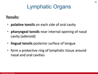© 2019 McGraw-Hill Education
10
Lymphatic Organs
Tonsils:
• palatine tonsils on each side of oral cavity
• pharyngeal tonsils near internal opening of nasal
cavity (adenoid)
• lingual tonsils posterior surface of tongue
• form a protective ring of lymphatic tissue around
nasal and oral cavities
 
