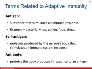 © 2019 McGraw-Hill Education
33
Terms Related to Adaptive Immunity
Antigen:
• substance that stimulates an immune response
• Example—bacteria, virus, pollen, food, drugs
Self-antigen:
• molecule produced by the person’s body that
stimulates an immune system response
Antibody:
• proteins the body produces in response to an antigen
 