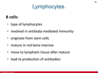 © 2019 McGraw-Hill Education
36
Lymphocytes2
B cells:
• type of lymphocytes
• involved in antibody-mediated immunity
• originate from stem cells
• mature in red bone marrow
• move to lymphatic tissue after mature
• lead to production of antibodies
 
