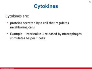 © 2019 McGraw-Hill Education
41
Cytokines
Cytokines are:
• proteins secreted by a cell that regulates
neighboring cells
• Example—interleukin 1 released by macrophages
stimulates helper T cells
 