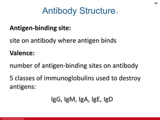 © 2019 McGraw-Hill Education
49
Antibody Structure3
Antigen-binding site:
site on antibody where antigen binds
Valence:
number of antigen-binding sites on antibody
5 classes of immunoglobulins used to destroy
antigens:
IgG, IgM, IgA, IgE, IgD
 