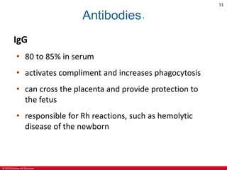 © 2019 McGraw-Hill Education
51
Antibodies1
IgG
• 80 to 85% in serum
• activates compliment and increases phagocytosis
• can cross the placenta and provide protection to
the fetus
• responsible for Rh reactions, such as hemolytic
disease of the newborn
 