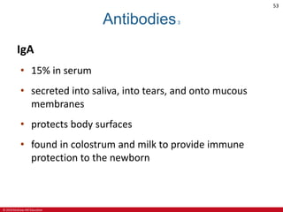 © 2019 McGraw-Hill Education
53
Antibodies3
IgA
• 15% in serum
• secreted into saliva, into tears, and onto mucous
membranes
• protects body surfaces
• found in colostrum and milk to provide immune
protection to the newborn
 