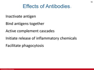 © 2019 McGraw-Hill Education
56
Effects of Antibodies1
Inactivate antigen
Bind antigens together
Active complement cascades
Initiate release of inflammatory chemicals
Facilitate phagocytosis
 