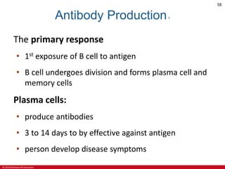 © 2019 McGraw-Hill Education
58
Antibody Production1
The primary response
• 1st exposure of B cell to antigen
• B cell undergoes division and forms plasma cell and
memory cells
Plasma cells:
• produce antibodies
• 3 to 14 days to by effective against antigen
• person develop disease symptoms
 