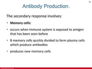 © 2019 McGraw-Hill Education
59
Antibody Production2
The secondary response involves:
• Memory cells:
• occurs when immune system is exposed to antigen
that has been seen before
• B memory cells quickly divided to form plasma cells
which produce antibodies
• produces new memory cells
 