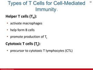 © 2019 McGraw-Hill Education
62
Types of T Cells for Cell-Mediated
Immunity1
Helper T cells (TH):
• activate macrophages
• help form B cells
• promote production of Tc
Cytotoxic T cells (Tc):
• precursor to cytotoxic T lymphocytes (CTL)
 