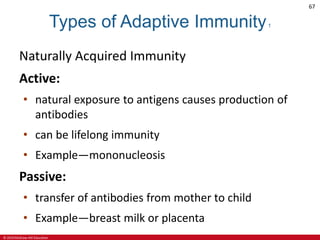 © 2019 McGraw-Hill Education
67
Types of Adaptive Immunity1
Naturally Acquired Immunity
Active:
• natural exposure to antigens causes production of
antibodies
• can be lifelong immunity
• Example—mononucleosis
Passive:
• transfer of antibodies from mother to child
• Example—breast milk or placenta
 