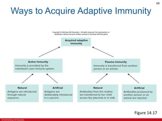 © 2019 McGraw-Hill Education
69
Ways to Acquire Adaptive Immunity
Figure 14.17
 