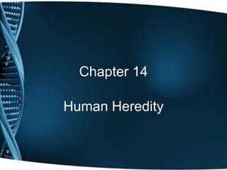 Chapter 14
Human Heredity
 