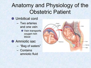 Anatomy and Physiology of the
Obstetric Patient
Umbilical cord
– Two arteries
and one vein
Vein transports
oxygen rich
blood
Amniotic sac
– “Bag of waters”
– Contains
amniotic fluid
 