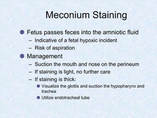 Meconium Staining
Fetus passes feces into the amniotic fluid
– Indicative of a fetal hypoxic incident
– Risk of aspiration
Management
– Suction the mouth and nose on the perineum
– If staining is light, no further care
– If staining is thick:
Visualize the glottis and suction the hypopharynx and
trachea
Utilize endotracheal tube
 